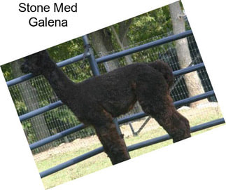 Stone Med Galena