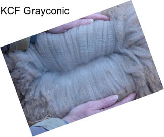 KCF Grayconic