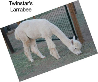 Twinstar\'s Larrabee
