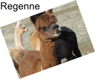 Regenne