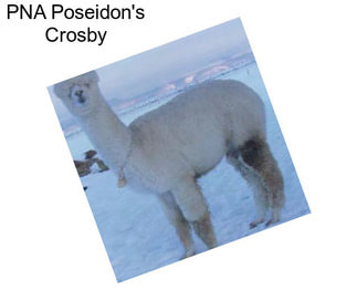 PNA Poseidon\'s Crosby