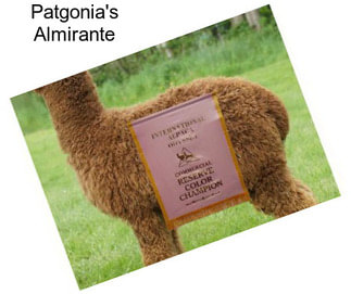 Patgonia\'s Almirante