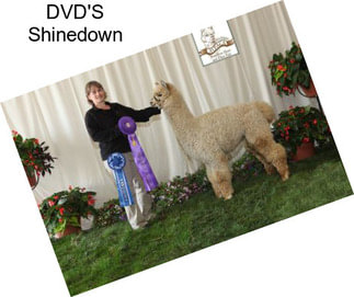 DVD\'S Shinedown