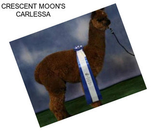 CRESCENT MOON\'S CARLESSA