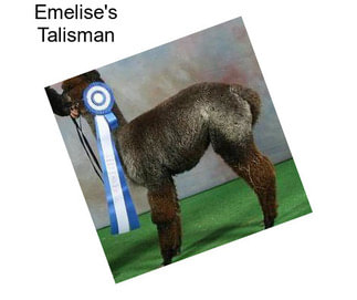 Emelise\'s Talisman