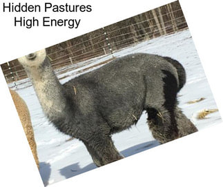 Hidden Pastures High Energy