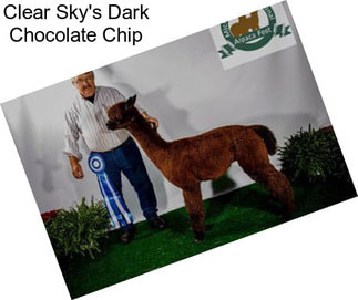 Clear Sky\'s Dark Chocolate Chip