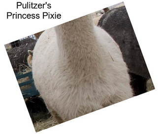 Pulitzer\'s Princess Pixie