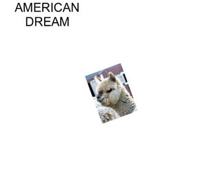 AMERICAN DREAM