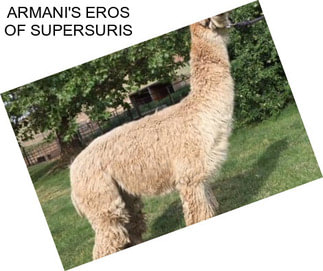 ARMANI\'S EROS OF SUPERSURIS