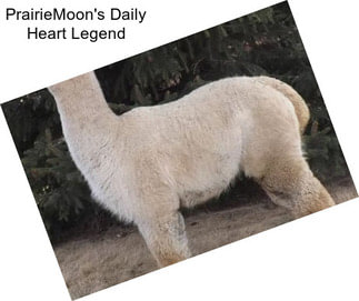 PrairieMoon\'s Daily Heart Legend