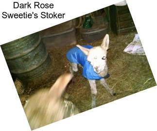 Dark Rose Sweetie\'s Stoker