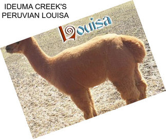 IDEUMA CREEK\'S PERUVIAN LOUISA