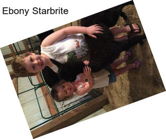 Ebony Starbrite