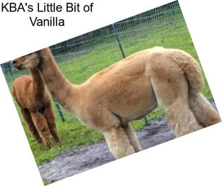 KBA\'s Little Bit of Vanilla