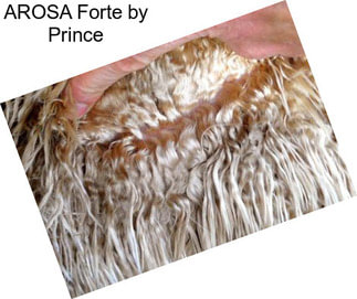 AROSA Forte by Prince