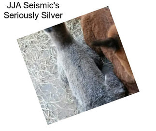 JJA Seismic\'s Seriously Silver