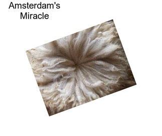 Amsterdam\'s Miracle