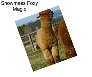 Snowmass Foxy Magic