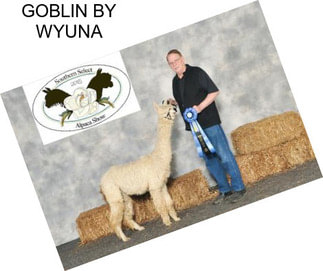 GOBLIN BY WYUNA