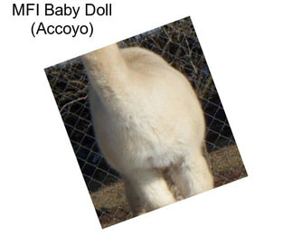 MFI Baby Doll (Accoyo)