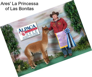 Ares\' La Princessa of Las Bonitas