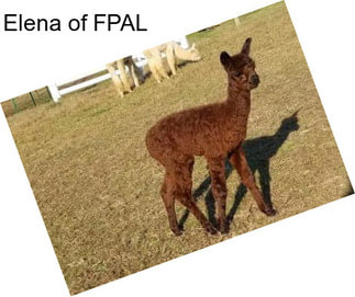 Elena of FPAL