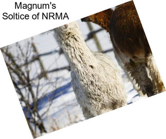 Magnum\'s Soltice of NRMA