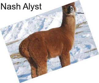 Nash Alyst