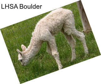 LHSA Boulder