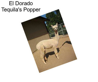 El Dorado Tequila\'s Popper