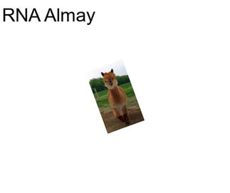 RNA Almay