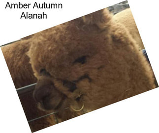Amber Autumn Alanah