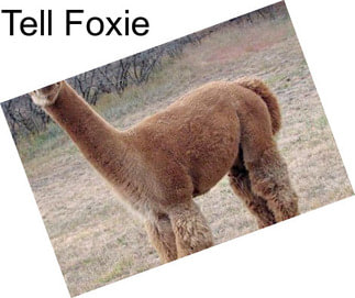 Tell Foxie