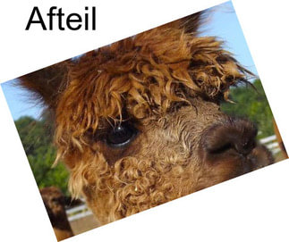 Afteil