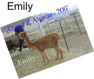 Emily