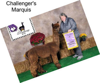 Challenger\'s Marquis