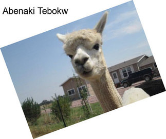 Abenaki Tebokw