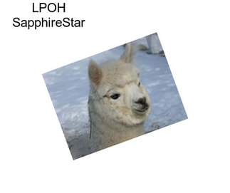 LPOH SapphireStar