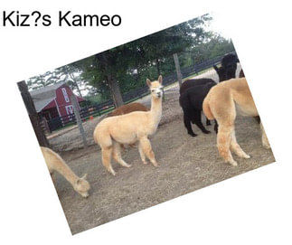 Kiz?s Kameo