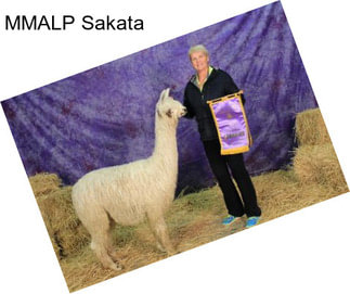 MMALP Sakata