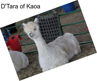 D\'Tara of Kaoa