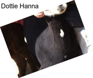 Dottie Hanna