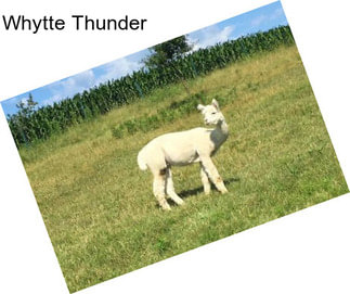 Whytte Thunder