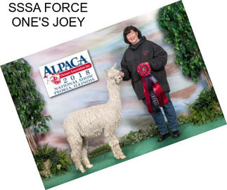 SSSA FORCE ONE\'S JOEY