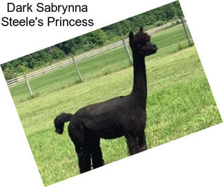Dark Sabrynna Steele\'s Princess
