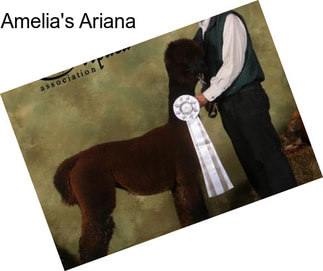 Amelia\'s Ariana