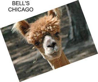 BELL\'S CHICAGO