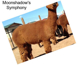 Moonshadow\'s Symphony