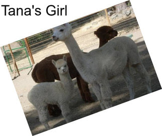 Tana\'s Girl